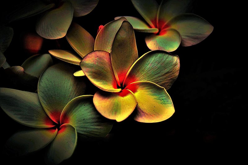Ripple Effect